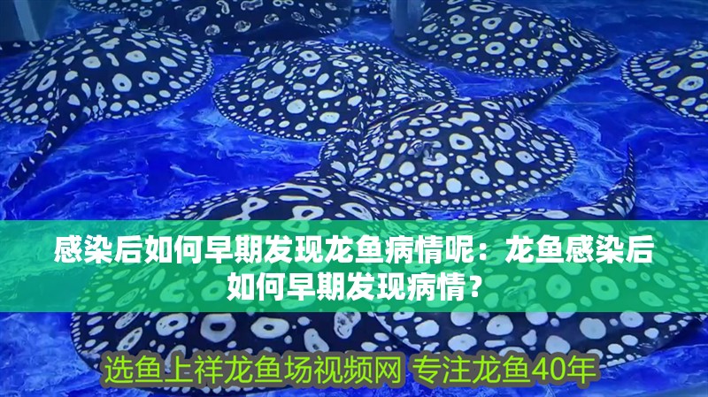 感染后如何早期發(fā)現(xiàn)龍魚病情呢：龍魚感染后如何早期發(fā)現(xiàn)病情？