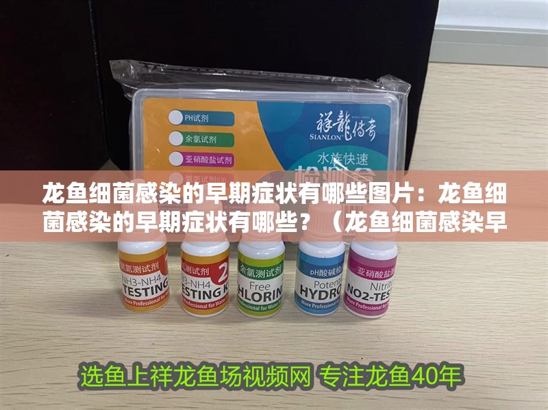 龍魚細菌感染的早期癥狀有哪些圖片：龍魚細菌感染的早期癥狀有哪些？（龍魚細菌感染早期癥狀）