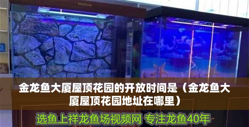 金龍魚大廈屋頂花園的開放時間是（金龍魚大廈屋頂花園地址在哪里）