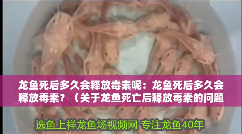 龍魚死后多久會釋放毒素呢：龍魚死后多久會釋放毒素？（關于龍魚死亡后釋放毒素的問題）