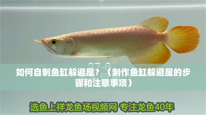 如何自制魚缸躲避屋？（制作魚缸躲避屋的步驟和注意事項） 如何自制魚缸躲避屋？（制作魚缸躲避屋的步驟和注意事項） 龍魚百科