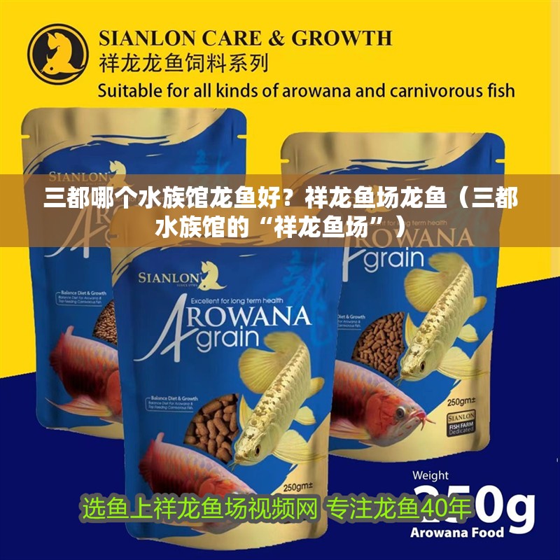 三都哪個水族館龍魚好？祥龍魚場龍魚（三都水族館的“祥龍魚場”）