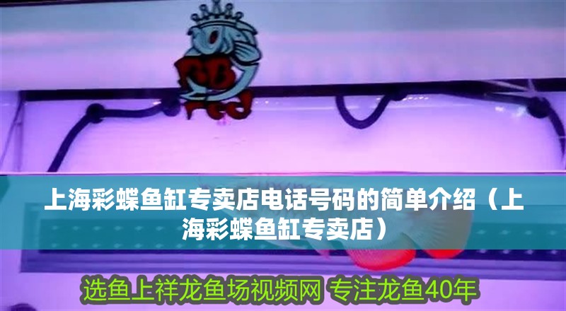上海彩蝶魚缸專賣店電話號碼的簡單介紹（上海彩蝶魚缸專賣店） 上海彩蝶魚缸專賣店電話號碼的簡單介紹（上海彩蝶魚缸專賣店） 觀賞魚百科