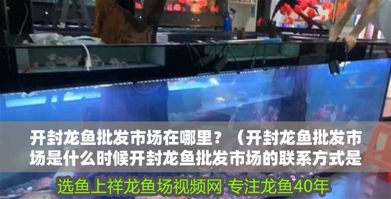 開封龍魚批發市場在哪里？（開封龍魚批發市場是什么時候開封龍魚批發市場的聯系方式是什么） 開封龍魚批發市場在哪里？（開封龍魚批發市場是什么時候開封龍魚批發市場的聯系方式是什么） 龍魚百科