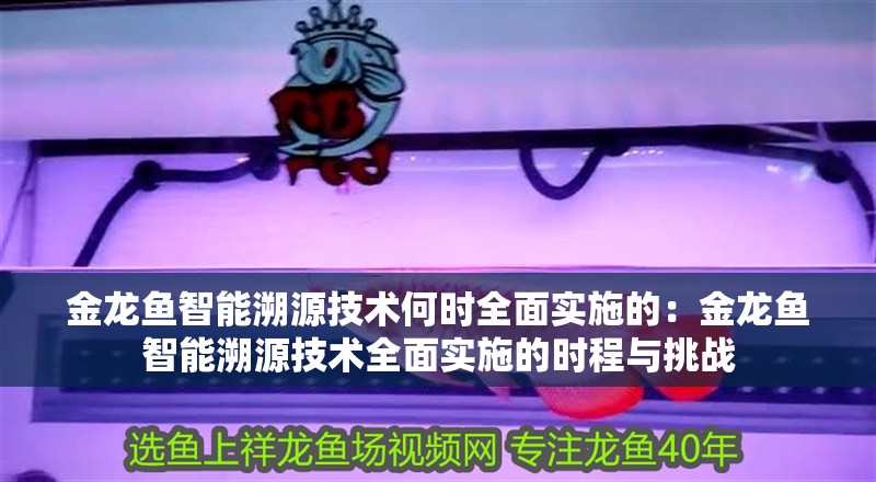 金龍魚智能溯源技術(shù)何時(shí)全面實(shí)施的：金龍魚智能溯源技術(shù)全面實(shí)施的時(shí)程與挑戰(zhàn)