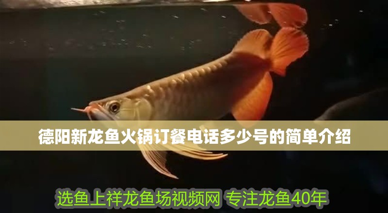 德陽新龍魚火鍋訂餐電話多少號的簡單介紹