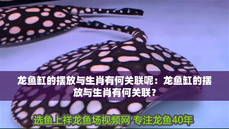 龍魚缸的擺放與生肖有何關聯呢：龍魚缸的擺放與生肖有何關聯？