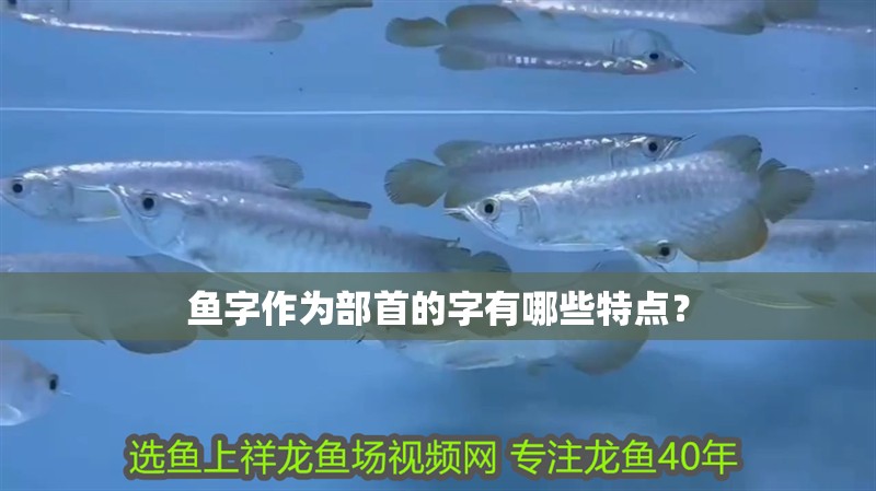 魚字作為部首的字有哪些特點(diǎn)?