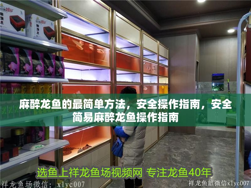 麻醉龍魚的最簡單方法，安全操作指南，安全簡易麻醉龍魚操作指南