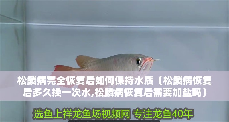 松鱗病完全恢復后如何保持水質(松鱗病恢復后多久換一次水,松鱗病恢復后需要加鹽嗎)