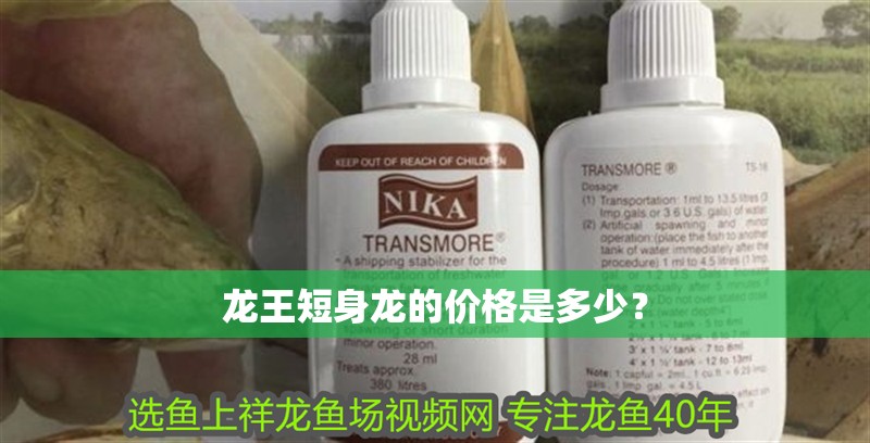 龍王短身龍的價格是多少？ 龍王短身龍的價格是多少？ 龍魚百科