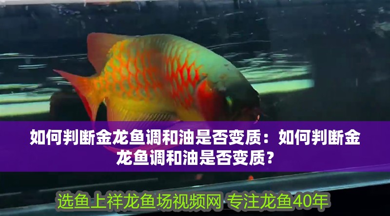 如何判斷金龍魚調和油是否變質：如何判斷金龍魚調和油是否變質？
