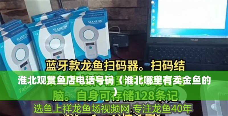 <strong><mark>淮北</mark></strong>觀賞魚店電話號碼（<strong><mark>淮北</mark></strong>哪里有賣金魚的）