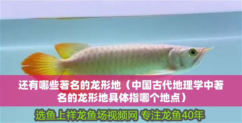 還有哪些著名的龍形地（中國古代地理學中著名的龍形地具體指哪個地點） 還有哪些著名的龍形地（中國古代地理學中著名的龍形地具體指哪個地點） 龍魚百科