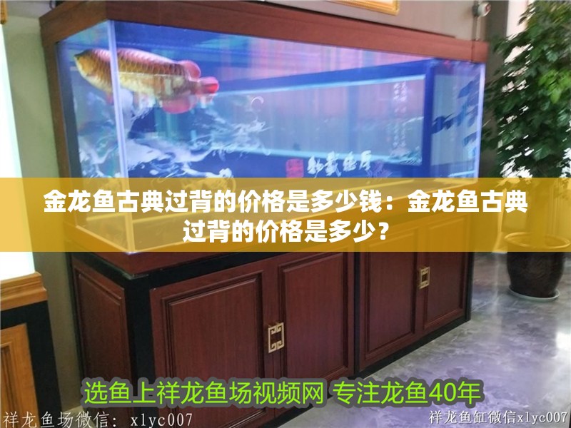金龍魚古典過背的價格是多少錢：金龍魚古典過背的價格是多少？