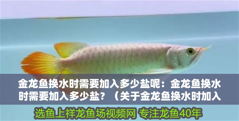 金龍魚換水時需要加入多少鹽呢：金龍魚換水時需要加入多少鹽？（關(guān)于金龍魚換水時加入鹽的正確方法）