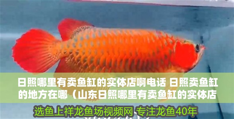日照哪里有賣魚缸的實體店啊電話 日照賣魚缸的地方在哪(山東日照哪里有賣魚缸的實體店)