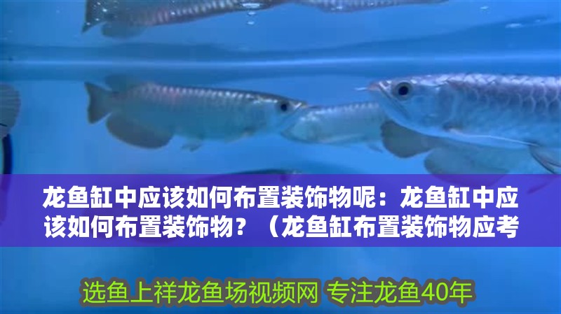 龍魚缸中應(yīng)該如何布置裝飾物呢：龍魚缸中應(yīng)該如何布置裝飾物？（龍魚缸布置裝飾物應(yīng)考慮的幾個關(guān)鍵因素，龍魚缸布置）