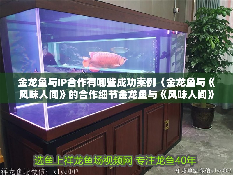 金龍魚與IP合作有哪些成功案例（金龍魚與《風味人間》的合作細節金龍魚與《風味人間》合作計劃）