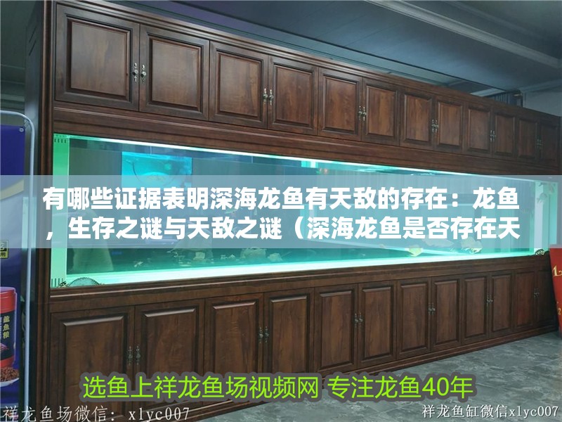 有哪些證據(jù)表明深海龍魚有天敵的存在：龍魚，生存之謎與天敵之謎（深海龍魚是否存在天敵）