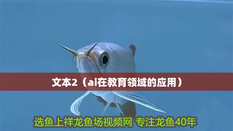 文本2（ai在教育領(lǐng)域的應(yīng)用）