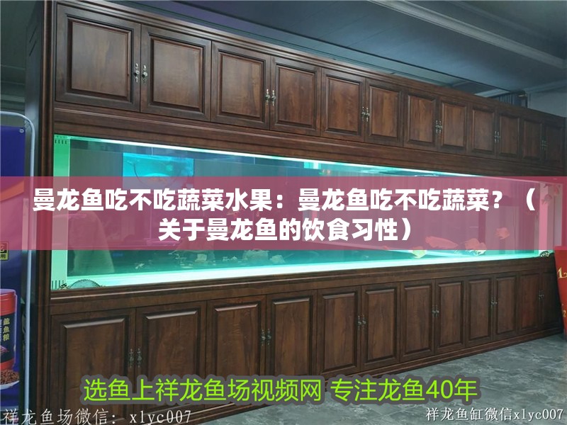 曼龍魚吃不吃蔬菜水果：曼龍魚吃不吃蔬菜？（關(guān)于曼龍魚的飲食習(xí)性）