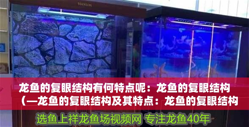 龍魚的復(fù)眼結(jié)構(gòu)有何特點(diǎn)呢：龍魚的復(fù)眼結(jié)構(gòu)（—龍魚的復(fù)眼結(jié)構(gòu)及其特點(diǎn)：龍魚的復(fù)眼結(jié)構(gòu)及其特點(diǎn)）