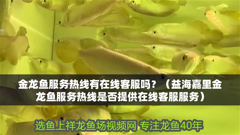 金龍魚(yú)服務(wù)熱線有在線客服嗎？（益海嘉里金龍魚(yú)服務(wù)熱線是否提供在線客服服務(wù)）