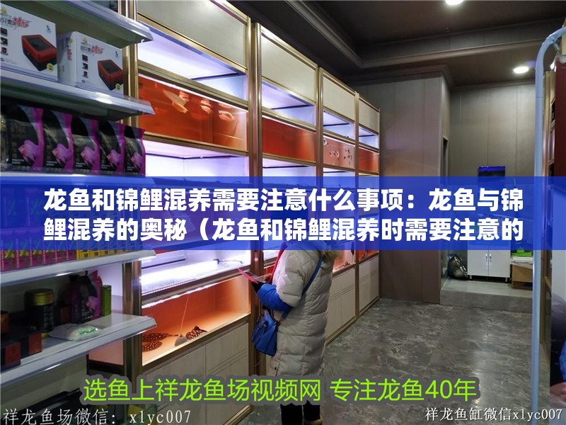 龍魚和錦鯉混養需要注意什么事項：龍魚與錦鯉混養的奧秘（龍魚和錦鯉混養時需要注意的事項）