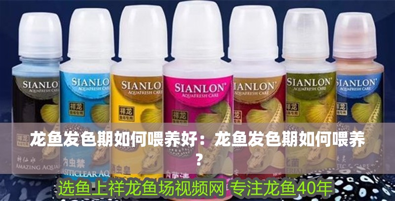 龍魚發(fā)色期如何喂養(yǎng)好：龍魚發(fā)色期如何喂養(yǎng)？