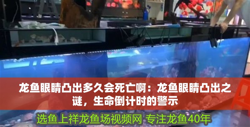 龍魚眼睛凸出多久會死亡啊：龍魚眼睛凸出之謎，生命倒計時的警示
