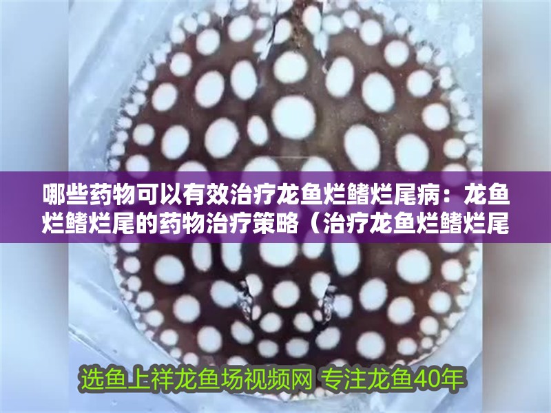 哪些藥物可以有效治療龍魚爛鰭爛尾病：龍魚爛鰭爛尾的藥物治療策略（治療龍魚爛鰭爛尾病的藥物可以治療龍魚爛鰭爛尾病的藥物）