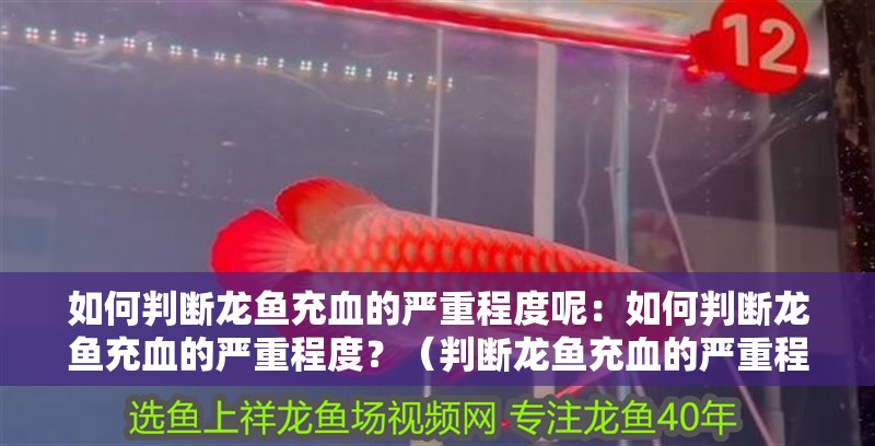 如何判斷龍魚充血的嚴重程度呢：如何判斷龍魚充血的嚴重程度？（判斷龍魚充血的嚴重程度對于及時采取措施至關重要）