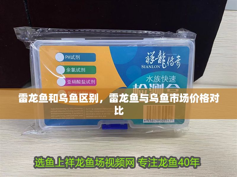 雷龍魚和烏魚區別，雷龍魚與烏魚市場價格對比