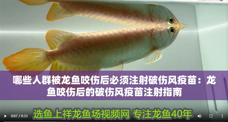 哪些人群被龍魚咬傷后必須注射破傷風疫苗：龍魚咬傷后的破傷風疫苗注射指南