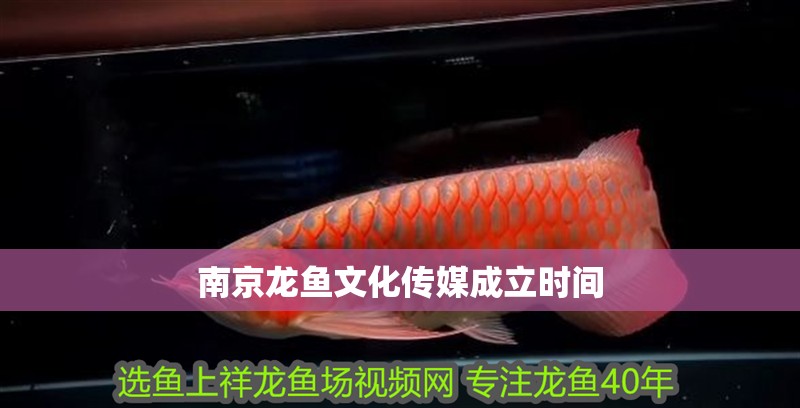 <strong><mark>南京</mark></strong>龍魚文化傳媒成立時間