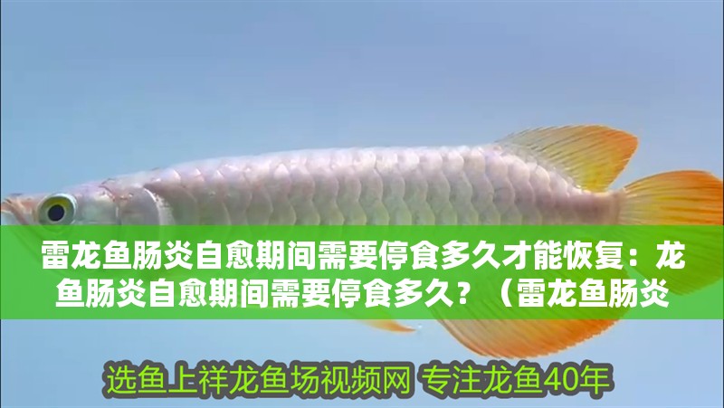 雷龍魚(yú)腸炎自愈期間需要停食多久才能恢復(fù)：龍魚(yú)腸炎自愈期間需要停食多久？（雷龍魚(yú)腸炎自愈期間停食多久）