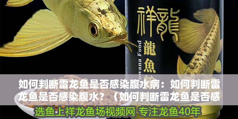如何判斷雷龍魚是否感染腹水病：如何判斷雷龍魚是否感染腹水？（如何判斷雷龍魚是否感染腹水）
