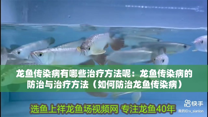 龍魚傳染病有哪些治療方法呢：龍魚傳染病的防治與治療方法（如何防治龍魚傳染病）