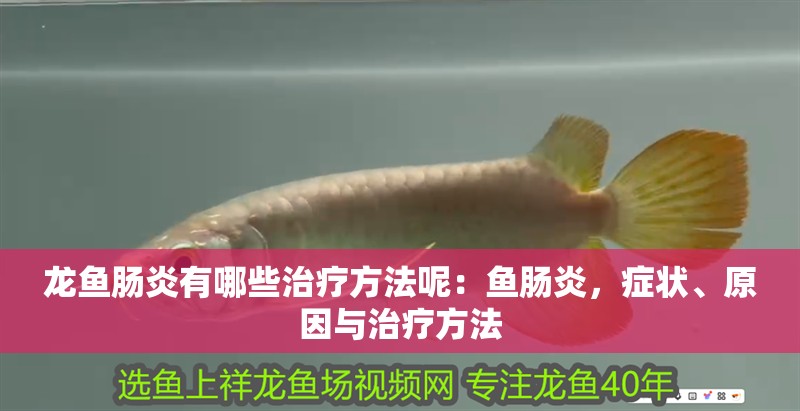 龍魚腸炎有哪些治療方法呢：魚腸炎，癥狀、原因與治療方法