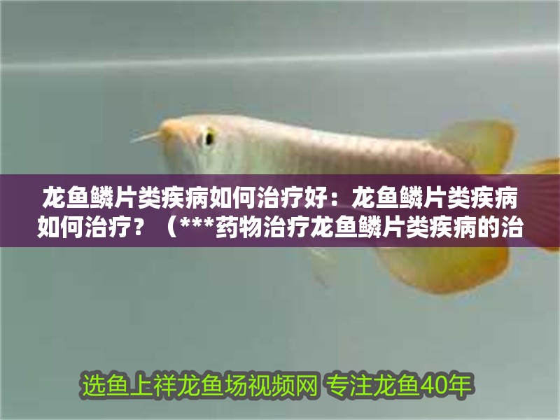 龍魚鱗片類疾病如何治療好：龍魚鱗片類疾病如何治療？（***藥物治療龍魚鱗片類疾病的治療方法）