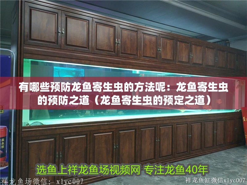 有哪些預(yù)防龍魚寄生蟲的方法呢：龍魚寄生蟲的預(yù)防之道（龍魚寄生蟲的預(yù)定之道）