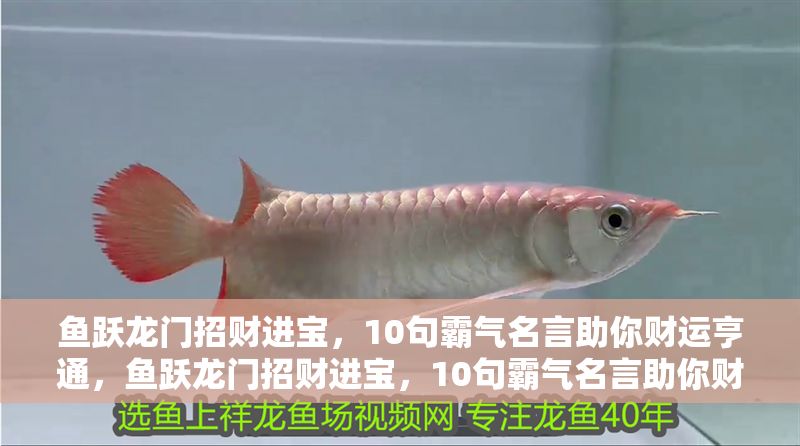 魚躍龍門招財(cái)進(jìn)寶,10句霸氣名言助你財(cái)運(yùn)亨通,魚躍龍門招財(cái)進(jìn)寶,10句霸氣名言助你財(cái)運(yùn)亨通 龍魚百科 第1張 魚躍龍門招財(cái)進(jìn)寶,10句霸氣名言助你財(cái)運(yùn)亨通,魚躍龍門招財(cái)進(jìn)寶,10句霸氣名言助你財(cái)運(yùn)亨通 魚躍龍門招財(cái)進(jìn)寶,10句霸氣名言助你財(cái)運(yùn)亨通,魚躍龍門招財(cái)進(jìn)寶,10句霸氣名言助你財(cái)運(yùn)亨通 龍魚百科 第1張