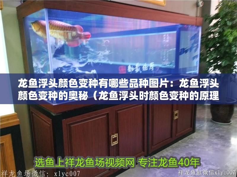 龍魚浮頭顏色變種有哪些品種圖片：龍魚浮頭顏色變種的奧秘（龍魚浮頭時顏色變種的原理）