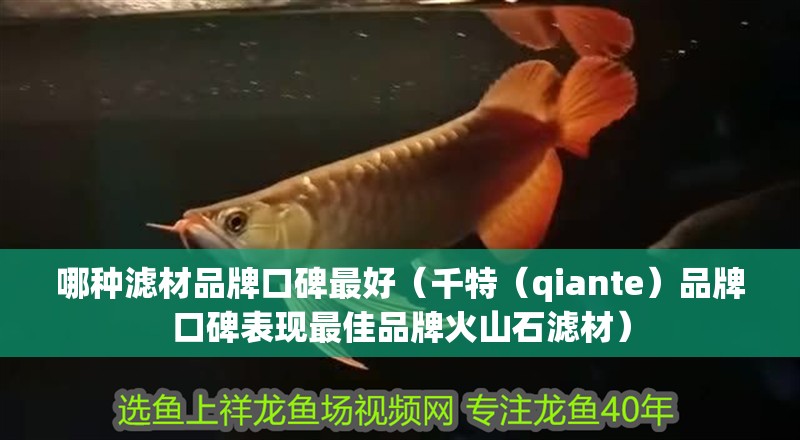 哪種濾材品牌口碑最好（千特（qiante）品牌口碑表現(xiàn)最佳品牌火山石濾材）