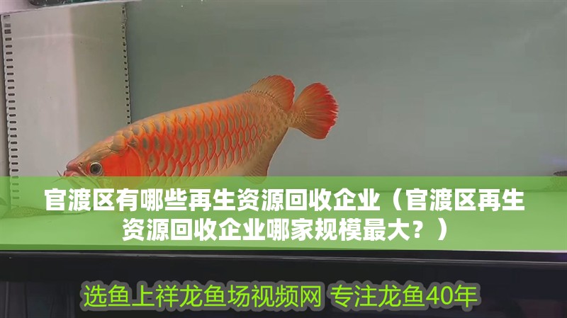 官渡區有哪些再生資源回收企業（官渡區再生資源回收企業哪家規模最大？） 官渡區有哪些再生資源回收企業（官渡區再生資源回收企業哪家規模最大？） 龍魚百科