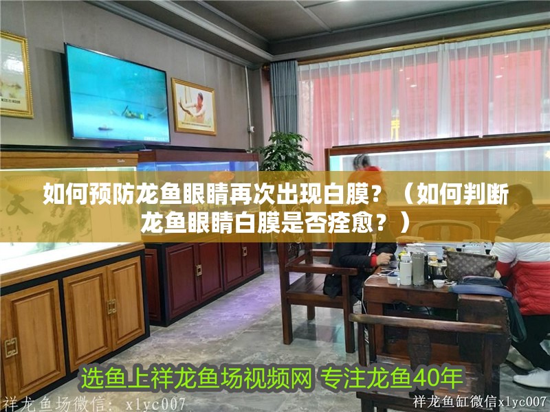 如何預(yù)防龍魚眼睛再次出現(xiàn)白膜？（如何判斷龍魚眼睛白膜是否痊愈？）