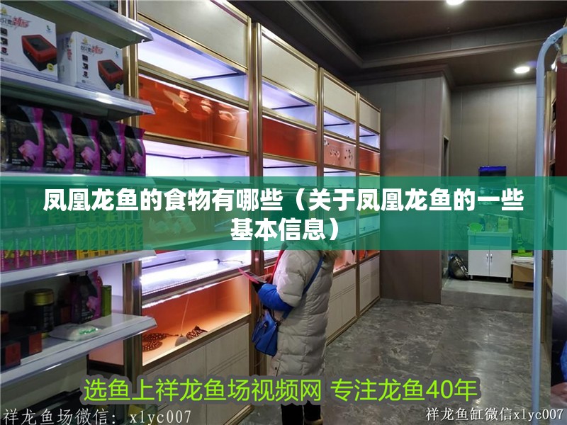 鳳凰龍魚的食物有哪些（關(guān)于鳳凰龍魚的一些基本信息）