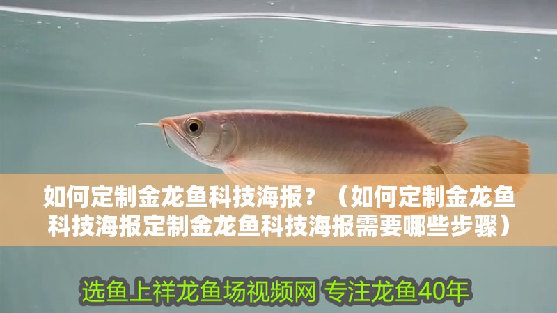 如何定制金龍魚科技海報？（如何定制金龍魚科技海報定制金龍魚科技海報需要哪些步驟） 如何定制金龍魚科技海報？（如何定制金龍魚科技海報定制金龍魚科技海報需要哪些步驟） 龍魚百科