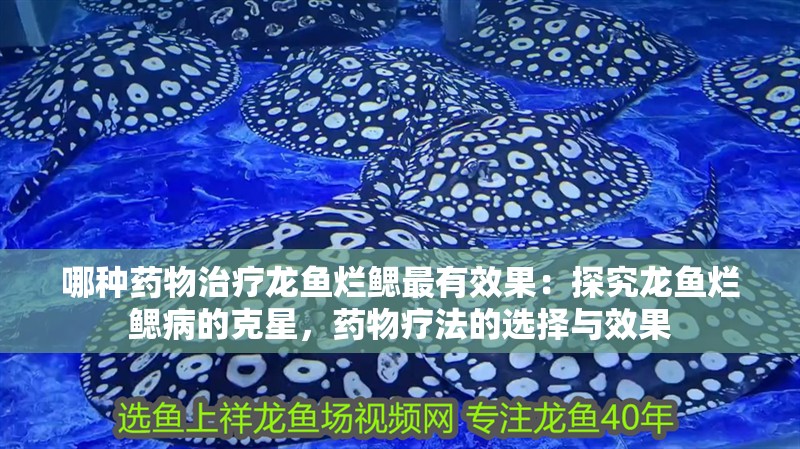 哪種藥物治療龍魚爛鰓最有效果：探究龍魚爛鰓病的克星，藥物療法的選擇與效果